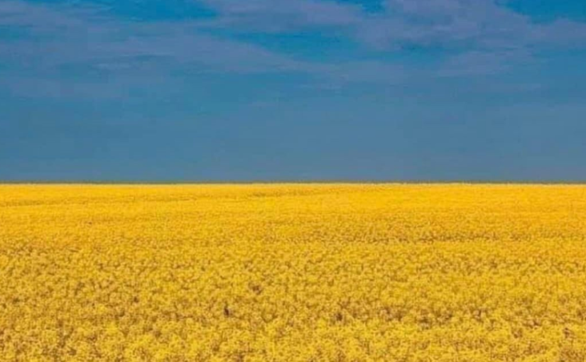 ￼Conflito na Ucrânia: Implicações nos negócios