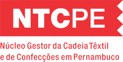 NTCPE divulga lista de cursos gratuitos oferecidos no Agreste; saiba como  participar, Caruaru e Região